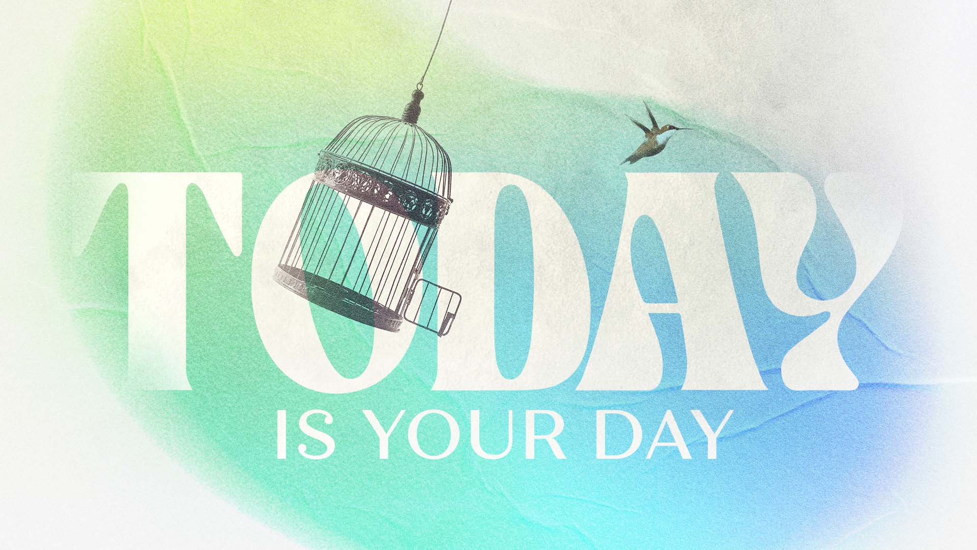 Today is Your Day