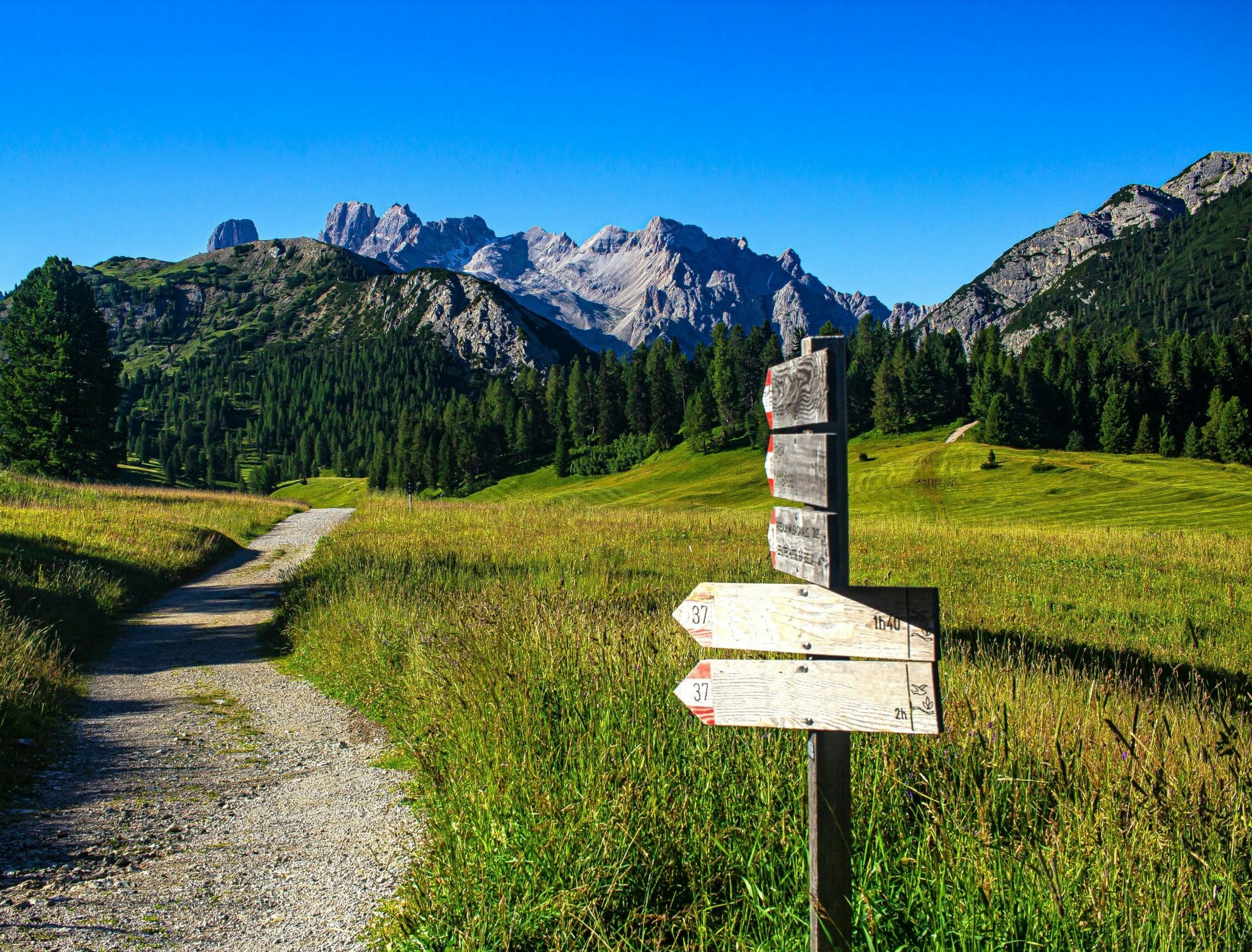 La Dirección Vendrá