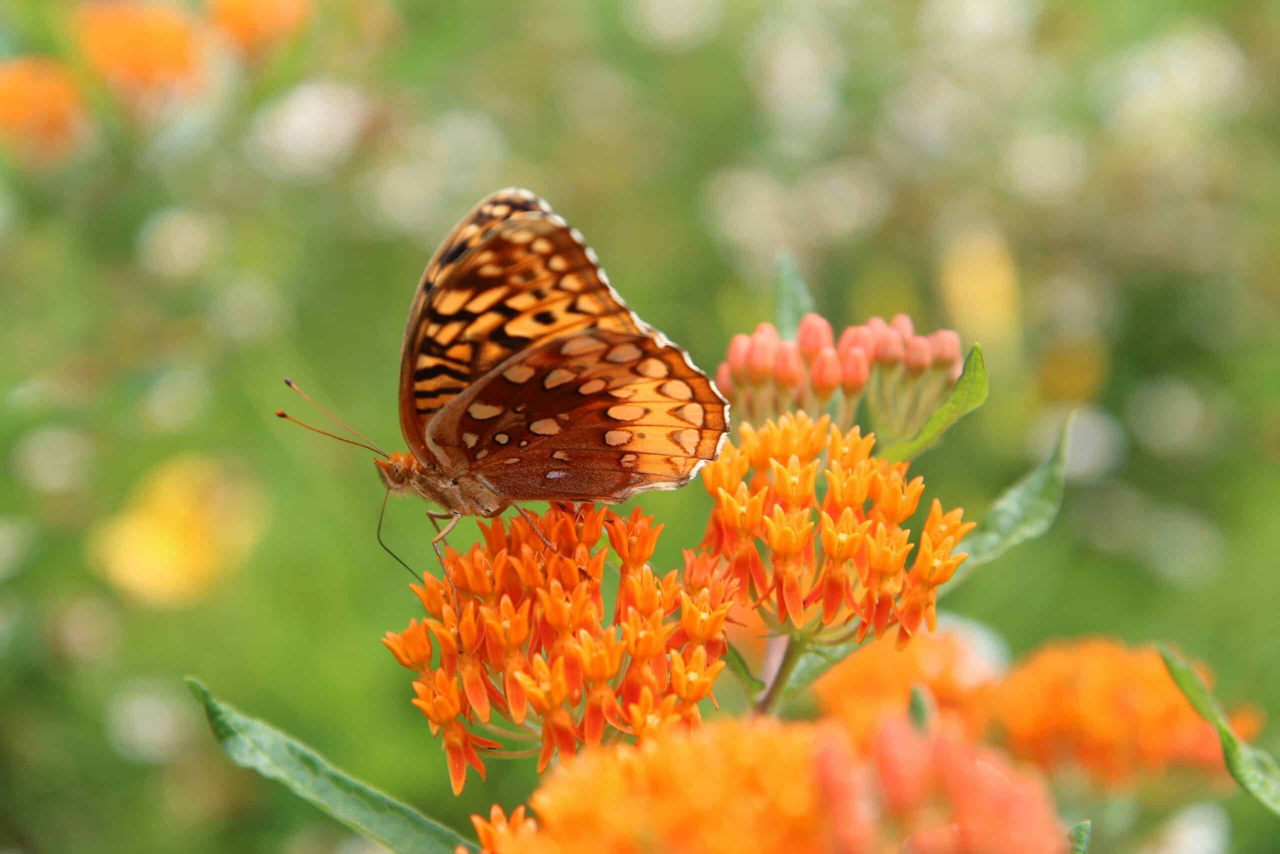 ¿Es hora de un cambio?